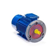 Эл.двигатель 5АИ 100 S4 ET2 3/1500 IM 2081