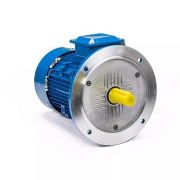 Эл.двигатель 5АИ 63 В6 ET2 0.25/1000 IM 3081