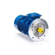 Эл.двигатель ESQ 63D4-SDN-ET- 0.25/1500 IM B5