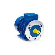 Эл.двигатель ESQ 90 LB2-SDN-ЕТ2 3/3000 IM B35
