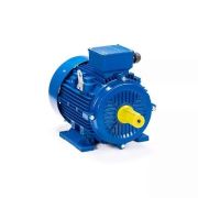 Эл.двигатель ESQ 112 M2-GST-HT-H-T2 7.6/3000 IM 1081