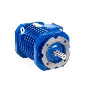 Эл.двигатель 5ARM 43-10 Б1-S3-Н-VFD 0.63/600 IM 3001