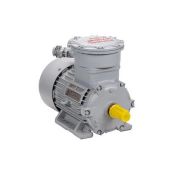 Электродвигатель АИМУР 250 S4 IM1001