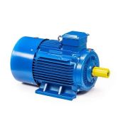 Эл.двигатель 5АИ 200 L6 30/1000 IM 1001